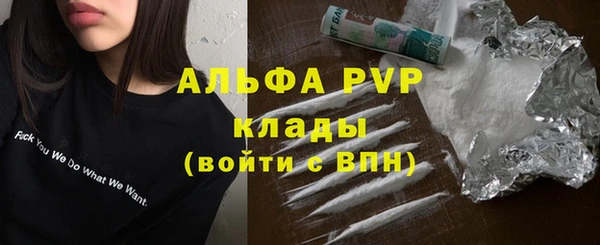 сатива Лабытнанги