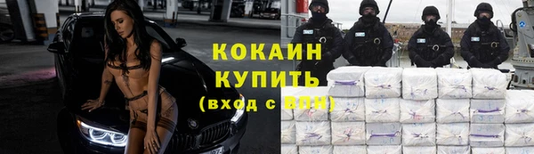 сатива Лабытнанги