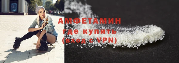 сатива Лабытнанги