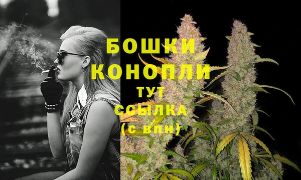 гидропоника Лагань