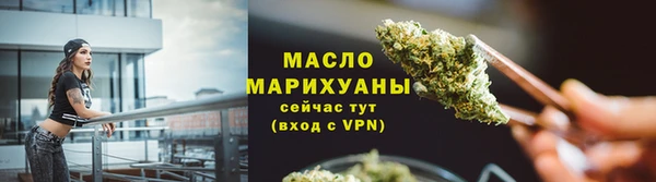 сатива Лабытнанги