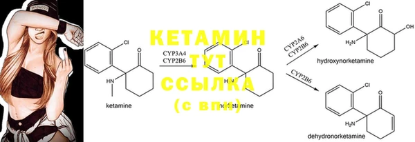сатива Лабытнанги