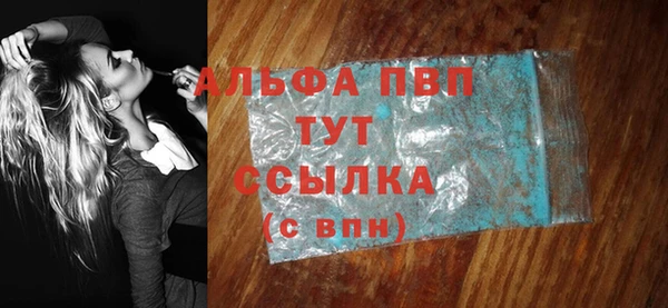 сатива Лабытнанги