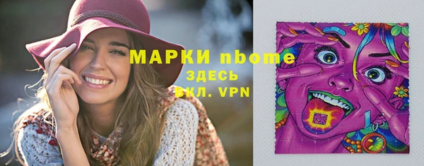 сатива Лабытнанги