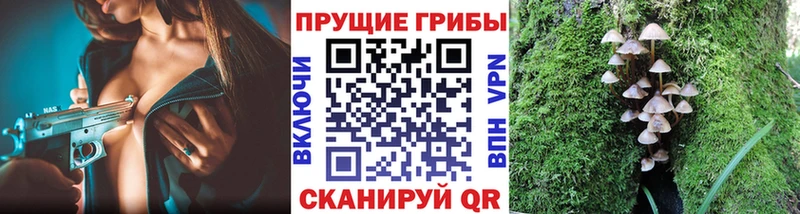 Псилоцибиновые грибы прущие грибы  Чулым 